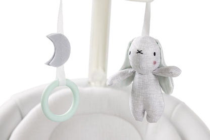 Graco Eluma™ Sway Soothing Baby Swing – Rori