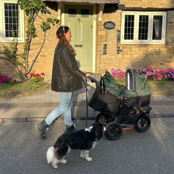 Out n About Nipper V6  Switch Newborn  Bundle  Sycamore Green
